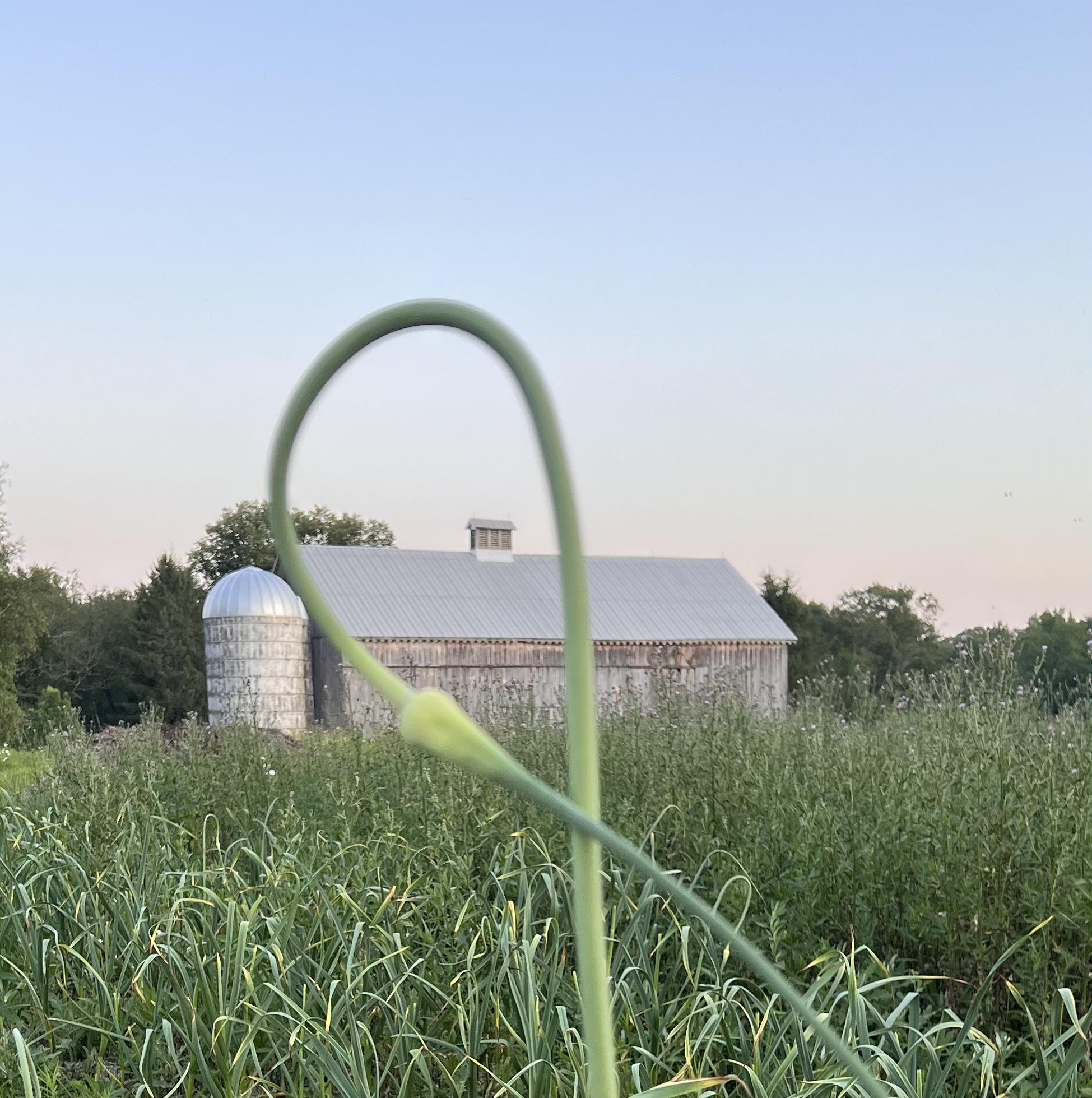 Scape barn